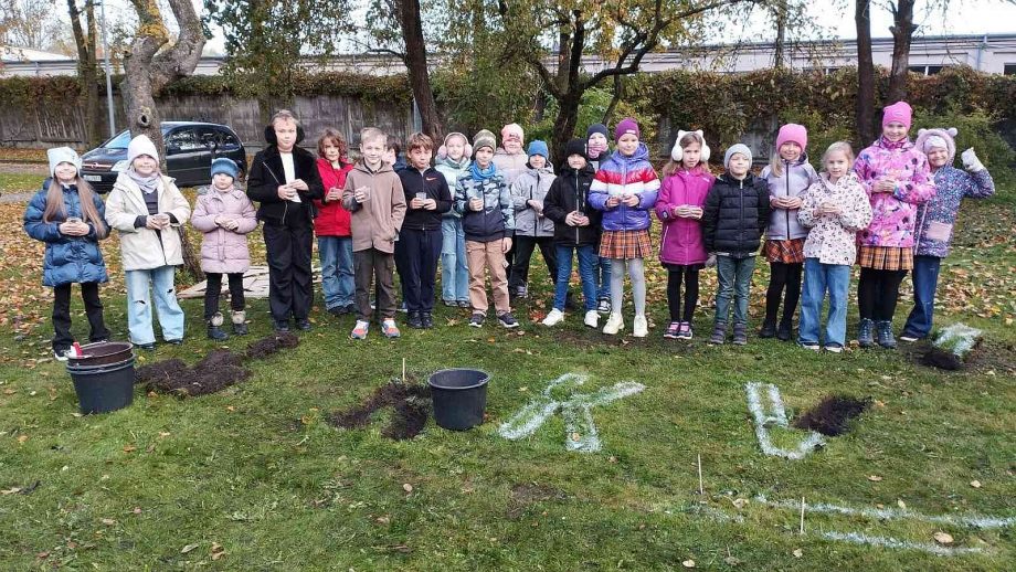 Krokusu stādīšana par godu skolas jubilejai, 17.10.2025.