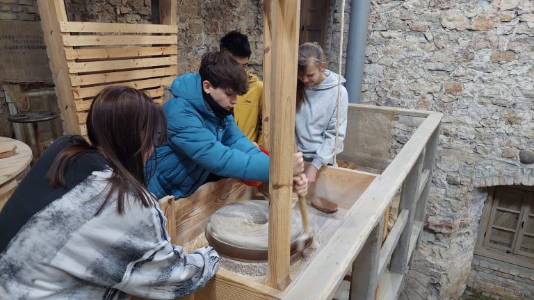 Projekts “Dzirnavu graudi” Mazjumpravas muižā.