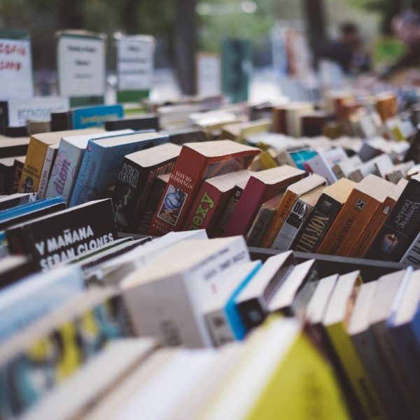 books, bookshop, bookstore, collection, rows, shop, stack, textbooks, read, knowledge, books, books, books, books, bookshop, bookstore, bookstore, bookstore, bookstore, bookstore, shop