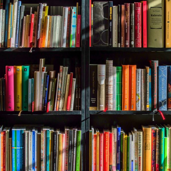 books-in-black-wooden-book-shelf-stockpack-pexels Books in black wooden book shelf